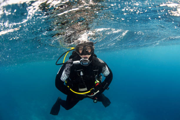 istock Scuba diver swimming near the water surface 1067742060