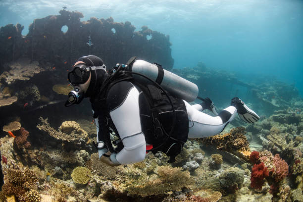 istock Scuba diver swimming underwater 1067742124
