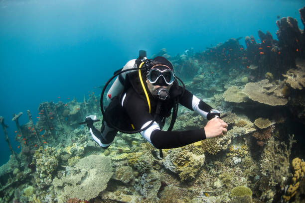 istock Scuba diver swimming underwater 1067742164