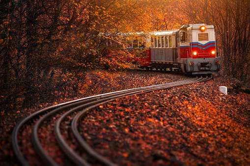 Budapest, Hungary - Children's train on the S track in the Hungarian woods of Huvosvolgy with beautiful autumn forest and foliage