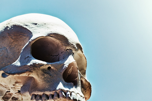 In bright sunshine, looking up at part of an old, worn human skull.