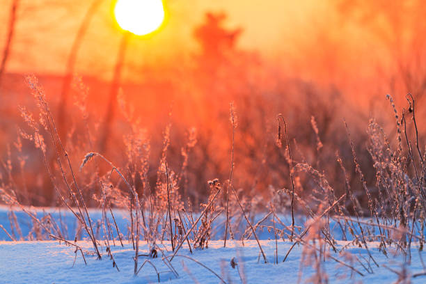 Winter landscape with woman hand.