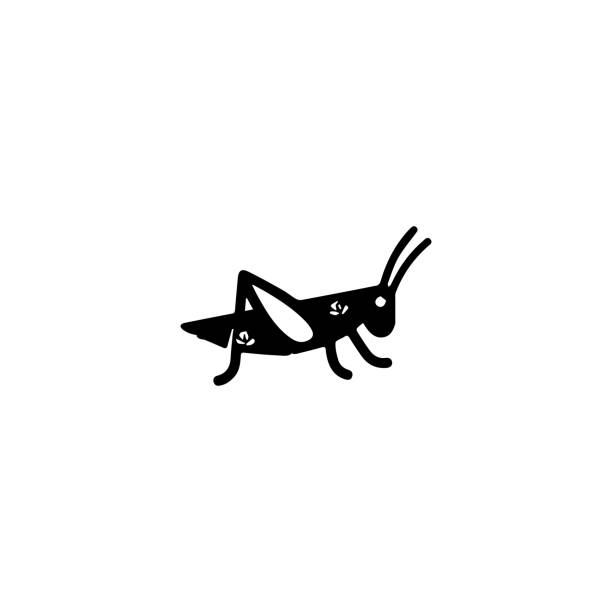 illustrations, cliparts, dessins animés et icônes de icône d’insectes sauterelles. signe de la nature - grillon insecte