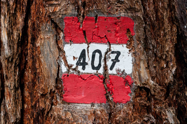 istock Trekking identification sign on a tree, marking the trail number 407, Cortina d'Ampezzo, Dolomites, Italy. 1067753346