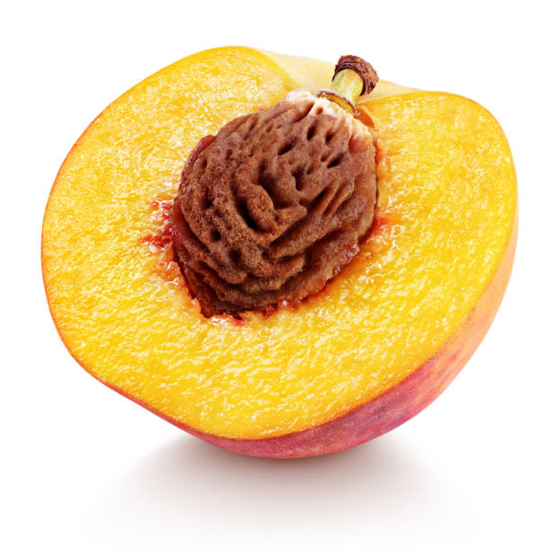 half of peach fruit with nut isolated on white Ripe half peach fruit with nut isolated on white background with clipping path. Full depth of field. halved stock pictures, royalty-free photos & images
