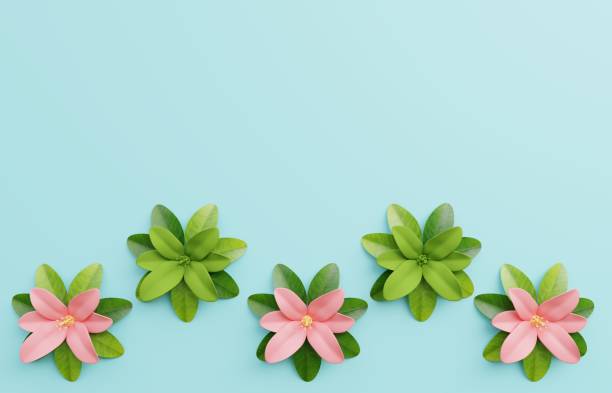 istock Summer background concept and flower concept 1067756186