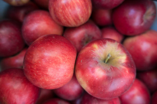 istock Close view of ripe red apples (Jonathan cultivar) 1067758854