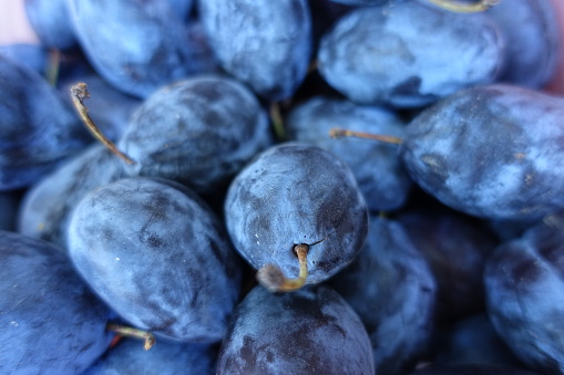 Heap of dark blue ripe damson plums