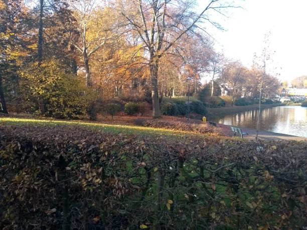 istock Scenic pond  autumn landscape foliage 1067760892