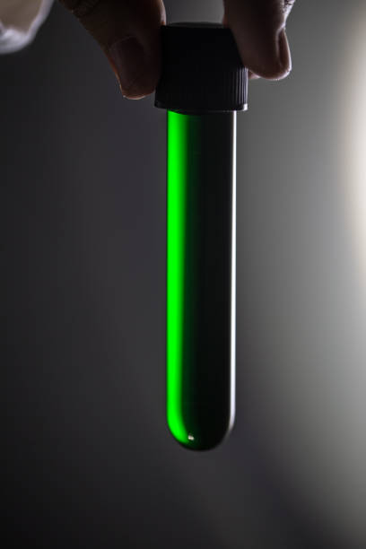 istock Researcher Holding a Test Tube With Chlorophyll Extract 1067761296