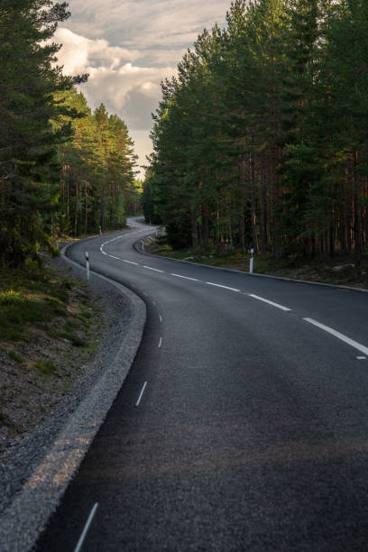 istock Curved tarmac road passing trough a pine forest in Sweden 1067762438
