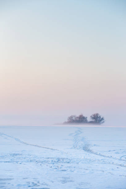 istock frozen lake  with an island on it in the mist 1067767744