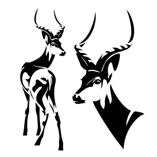 Vector illustration of impala antelope black vector design set