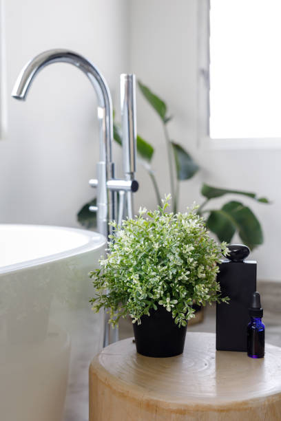 Modern Bathroom Detail - Home Decor
