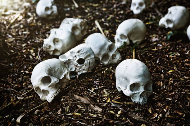 istock Many human skulls in mass grave in forest 1067775544