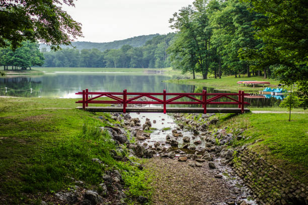 Forest Reflection Landscape In Scioto Trail State Park In Chillicothe Ohio Picnic table on a small island surrounded by a green forest landscape reflecting in the water at Scioto Trail State Park in Chillicothe Ohio. footbridge stock pictures, royalty-free photos & images