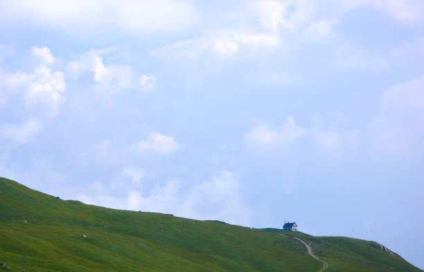 A scenic view of a mountain landscape with a small cabin, lush green meadow, and a clear blue sky in the Swiss Alps.
