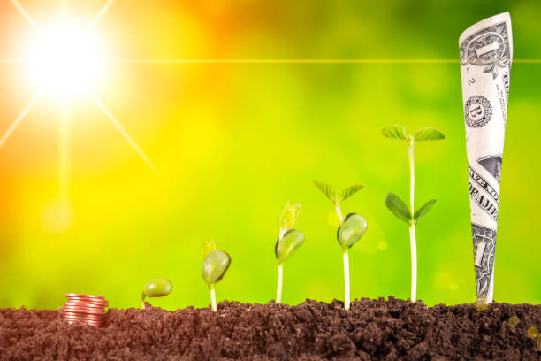 istock Investment Concept :Growing Plant On Coins Money 1067779704