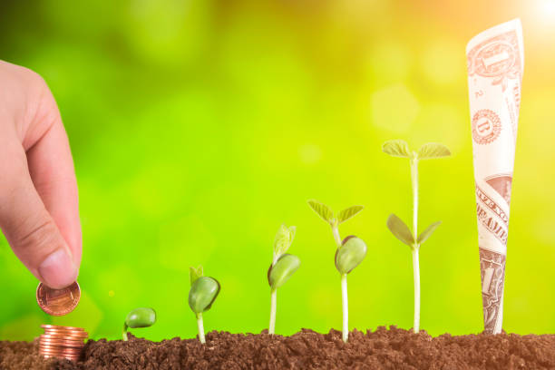 istock Investment Concept :Growing Plant On Coins Money 1067779706