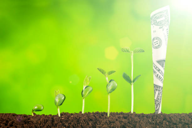istock Investment Concept :Growing Plant On Coins Money 1067779746