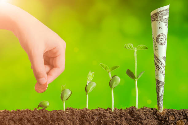 istock Investment Concept :Growing Plant On Coins Money 1067779776