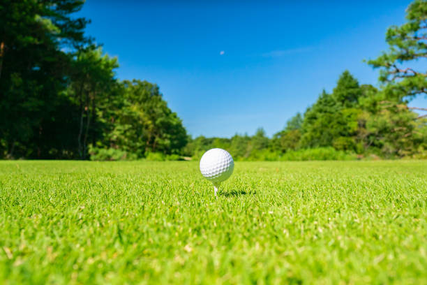 istock Golf Course where the turf is beautiful and Golf Ball on tee. Golf course with a rich green turf beautiful scenery. 1067782682