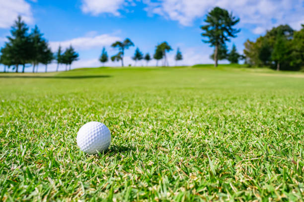 istock Golf Course where the turf is beautiful and Golf Ball on fairway. Golf course with a rich green turf beautiful scenery. 1067782756