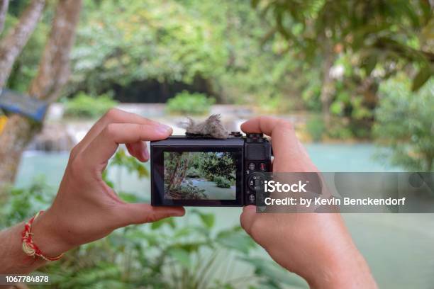 Canon G7 In Action At Laos Kuang Si Waterfalls Stock Photo - Download Image Now - Device Screen, Adult, Adults Only