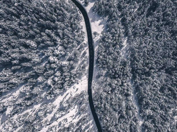 istock Idyllic winter landscape from above 1067785166