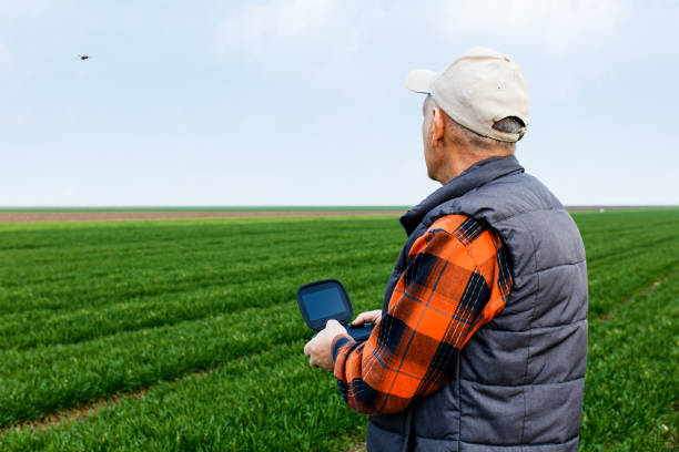 istock Senior farmer in filed examining young wheat corp. 1067785336