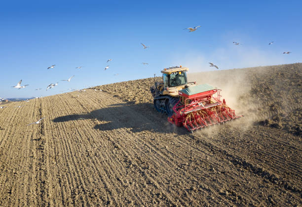 Aerial of a Tractor plowing a field with Seagulls flying around, Tuscany, Italy. Converted from RAW.