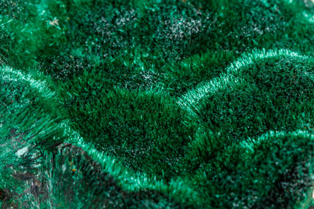 istock Macro mineral stone plisoviy, plush, satin malachite on a white background 1067787992