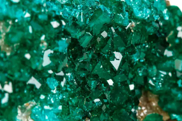Macro mineral stone Dioptase silicate copper on a white background close-up