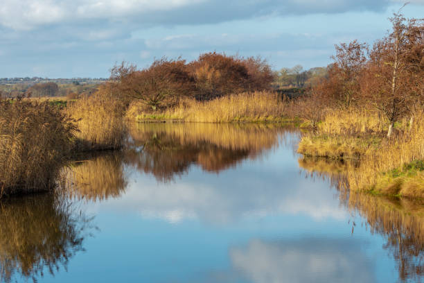 istock Clouds and Reeds Reflected on a Still Lake 1067790308