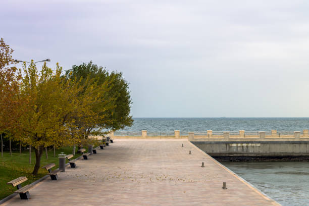 istock Benches under the tree in the park by the sea. 1067802816