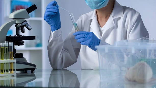 istock Scientist dripping test liquid in tube, developing new medicine, rodents testing 1067806202