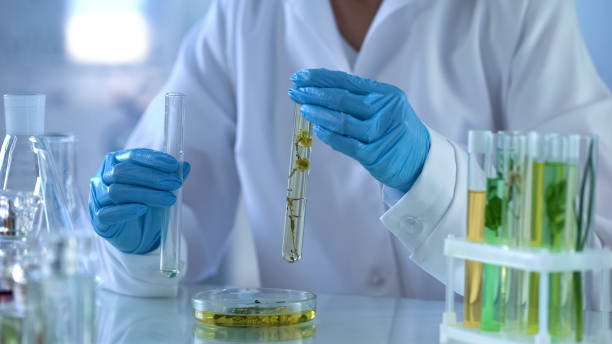 istock Medical scientist preparing new herbal medication, plant qualities lab testing 1067806856