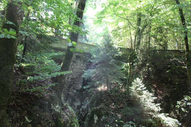 istock Gorges du Pont du diable - Haute Savoie 1067807044