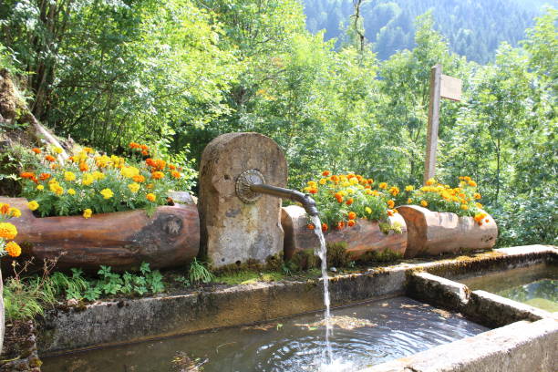istock Notre Dame de Bellevaux - School - Haute Savoie 1067812374