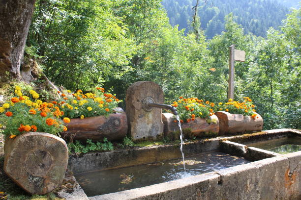 istock Notre Dame de Bellevaux - School - Haute Savoie 1067812398