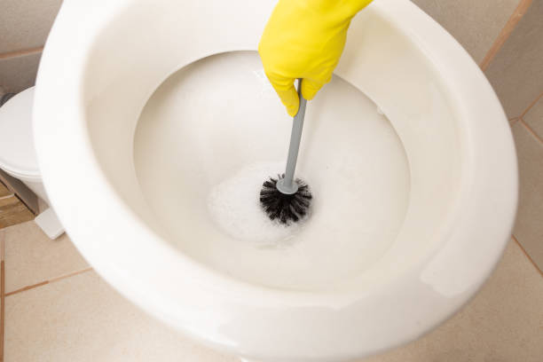 istock Person scrubbing toilet bowl 1067813770