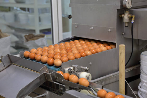istock Equipment at the bakery plant 1067817178