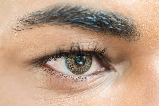istock Eye with contact lens 1067819484