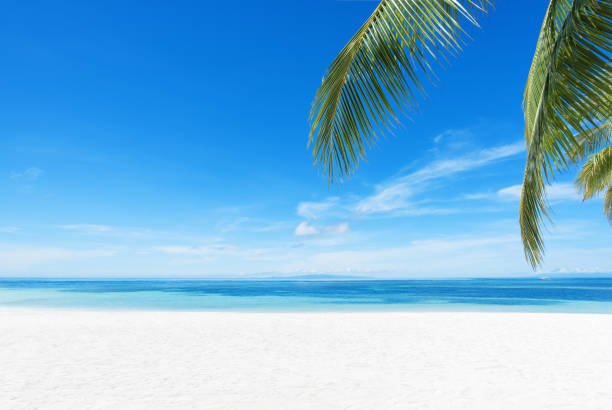 열 대 파라다이스 비치 배경 - philippines beach pacific islands white 뉴스 사진 이미지