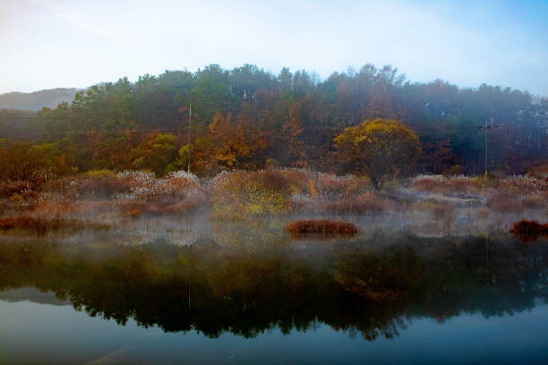 The reflection of the dawn misty chusung reservoir is so beautiful. As the sun slowly rises, a more spectacular landscape is created.