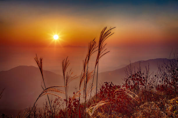 Nanhamsan sunrise on the border between Foggy Chungbuk Yeongdong and Gimcheon, Gyeongbuk.