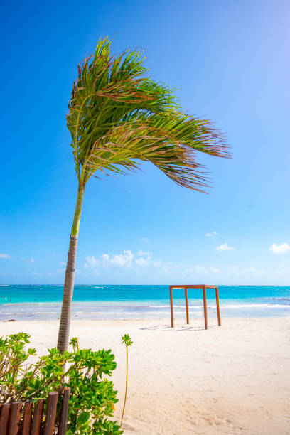 istock Caribbean beach with a wooden structure used for beach weddings 1067837342