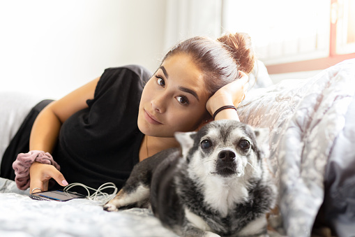 Mixed race teenage girl using cell phone with chihuahua dog in bed