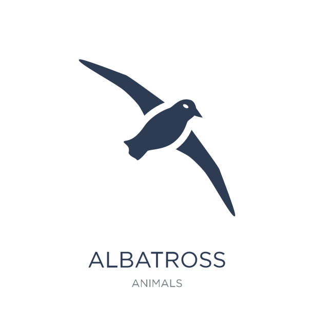 illustrazioni stock, clip art, cartoni animati e icone di tendenza di icona albatross. icona albatross vettoriale piatta alla moda su sfondo bianco della collezione animali - albatross