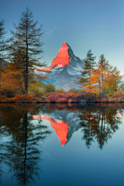 lago di montagna grindjisee - larch tree stone landscape sky foto e immagini stock